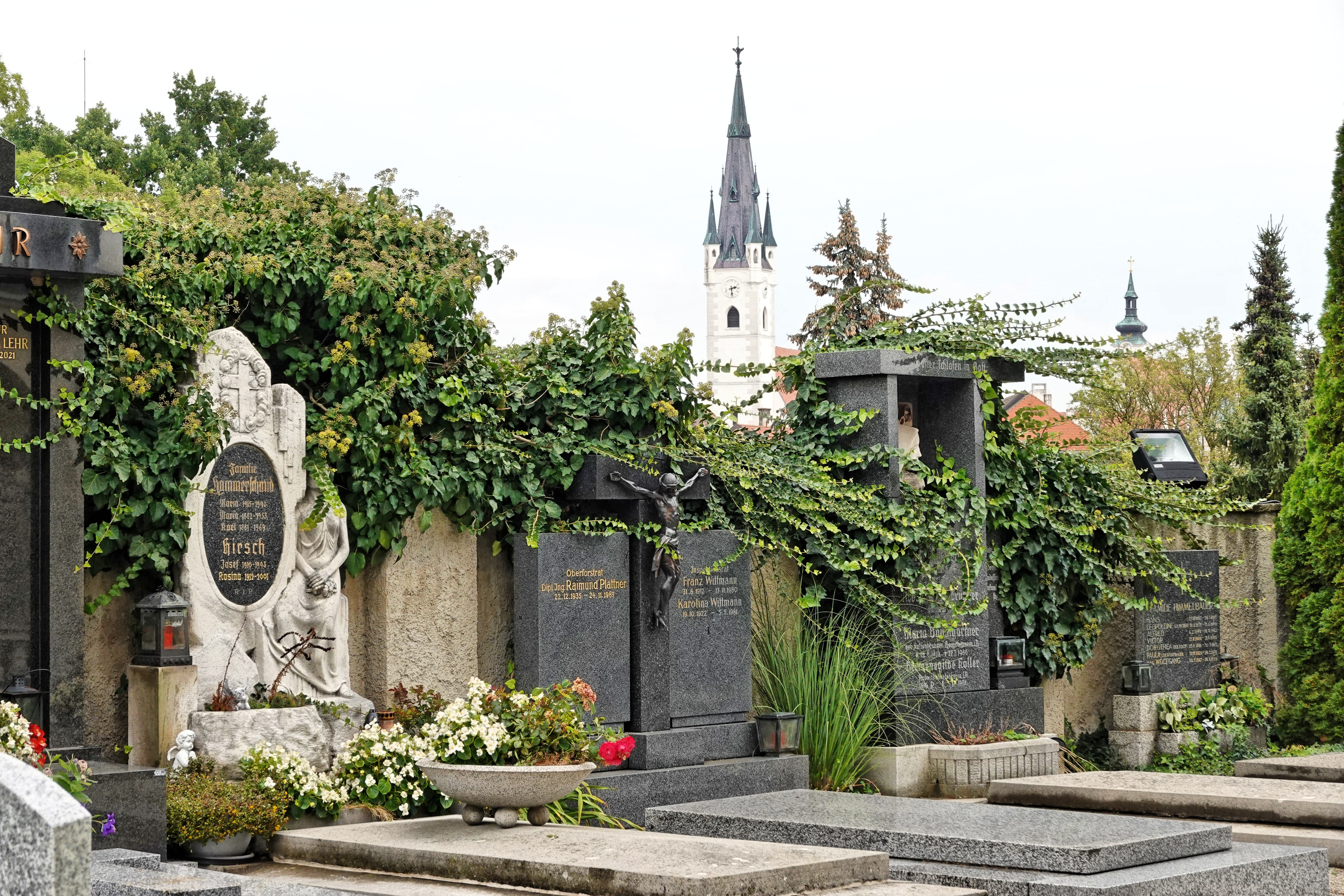 Gräber Friedhof Horn