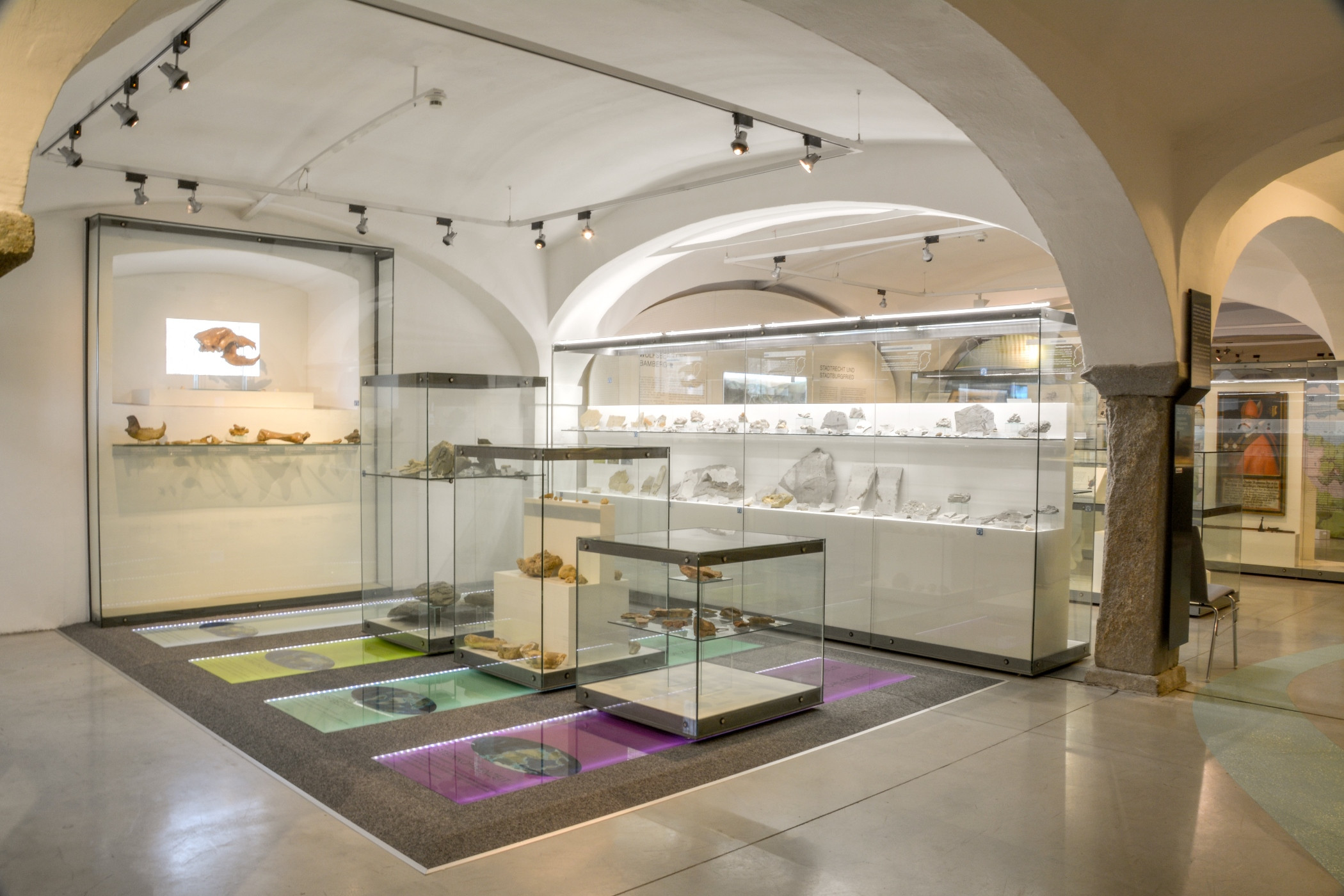 Blick auf die Museumsvitrinen mit Fossilien